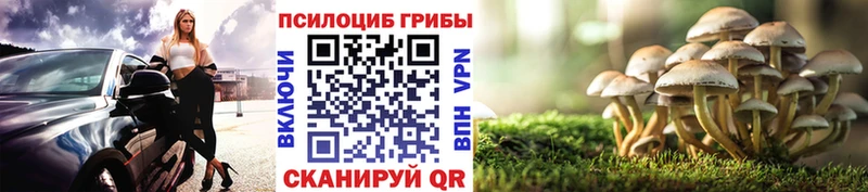 продажа наркотиков  mega как зайти  Галлюциногенные грибы MAGIC MUSHROOMS  Саранск 